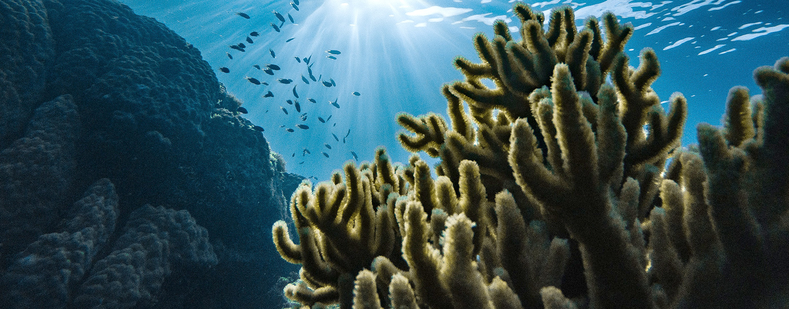 老哥俱乐部中水回用、陶瓷膜、石墨烯膜、黑金膜公众号，，接待您扫码关注！